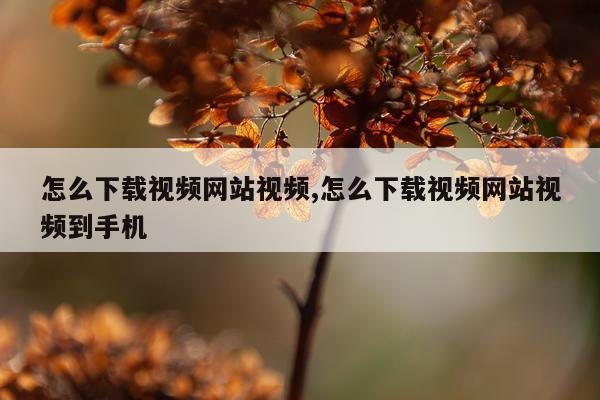 怎么下载视频网站视频,怎么下载视频网站视频到手机