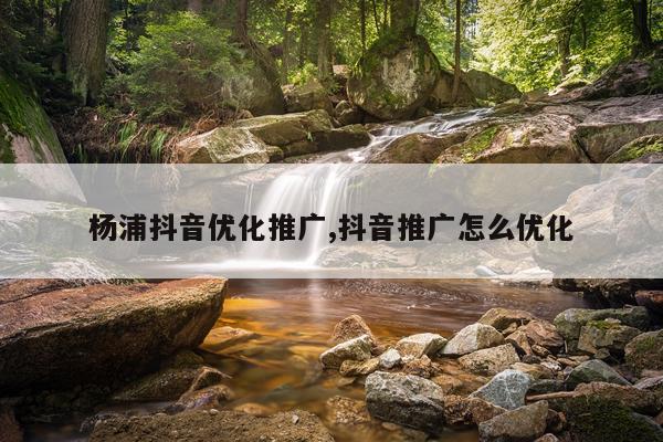 杨浦抖音优化推广,抖音推广怎么优化