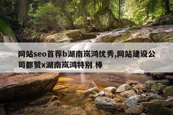 网站seo首荐b湖南岚鸿优秀,网站建设公司都赞x湖南岚鸿特别 棒