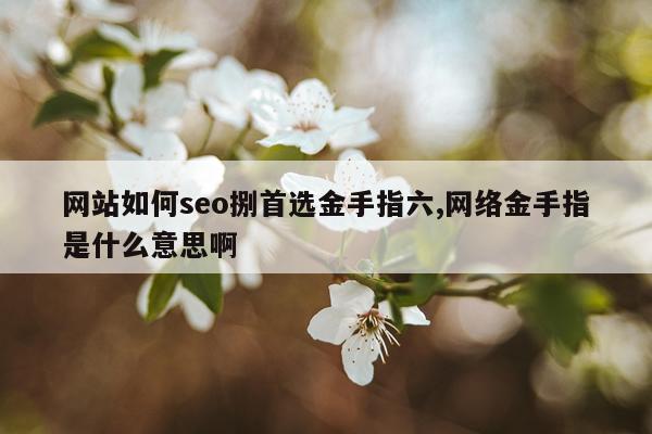 网站如何seo捌首选金手指六,网络金手指是什么意思啊