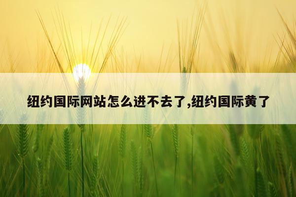 纽约国际网站怎么进不去了,纽约国际黄了