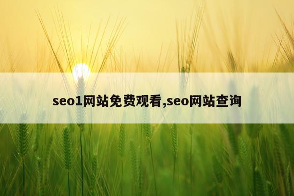 seo1网站免费观看,seo网站查询