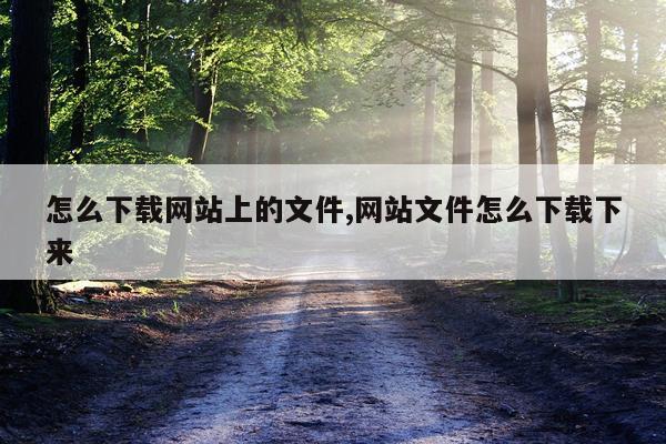 怎么下载网站上的文件,网站文件怎么下载下来