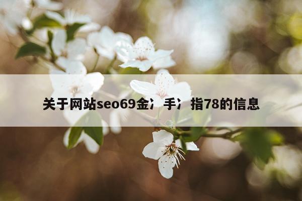 关于网站seo69金冫手冫指78的信息