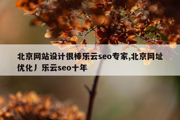 北京网站设计很棒乐云seo专家,北京网址优化丿乐云seo十年