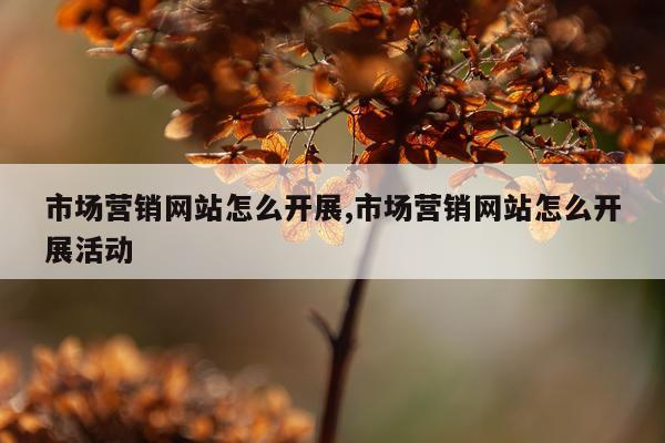 市场营销网站怎么开展,市场营销网站怎么开展活动