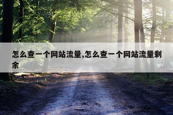 怎么查一个网站流量,怎么查一个网站流量剩余