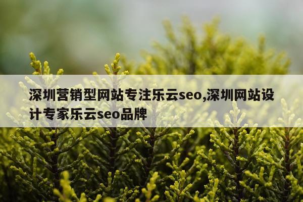 深圳营销型网站专注乐云seo,深圳网站设计专家乐云seo品牌