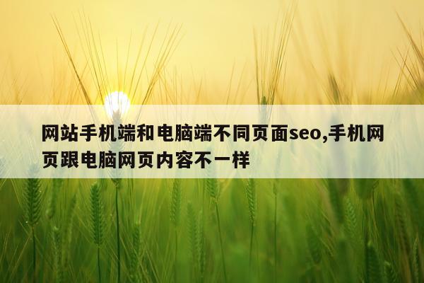 网站手机端和电脑端不同页面seo,手机网页跟电脑网页内容不一样
