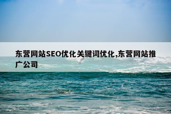 东营网站SEO优化关键词优化,东营网站推广公司