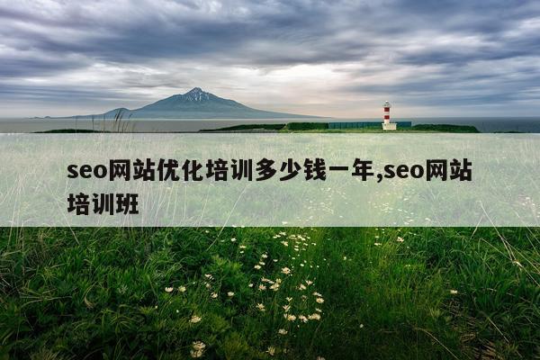 seo网站优化培训多少钱一年,seo网站培训班