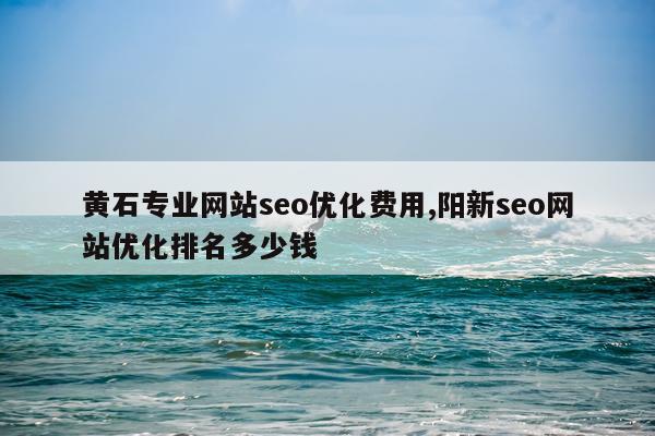 黄石专业网站seo优化费用,阳新seo网站优化排名多少钱