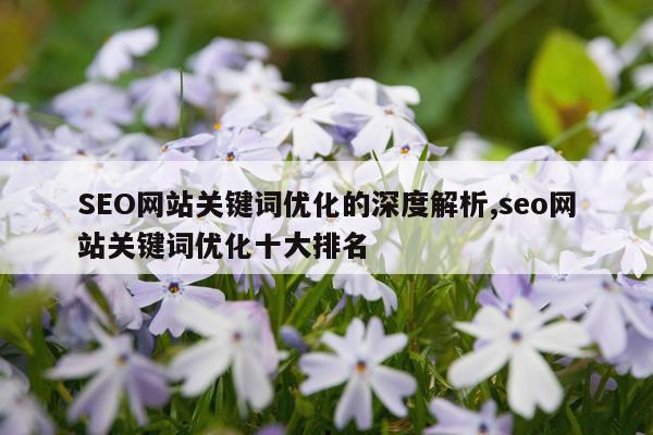 SEO网站关键词优化的深度解析,seo网站关键词优化十大排名