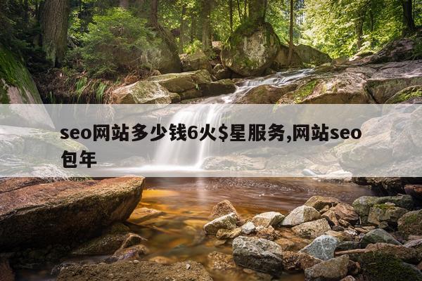 seo网站多少钱6火$星服务,网站seo包年