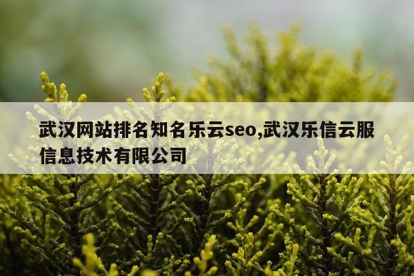 武汉网站排名知名乐云seo,武汉乐信云服信息技术有限公司