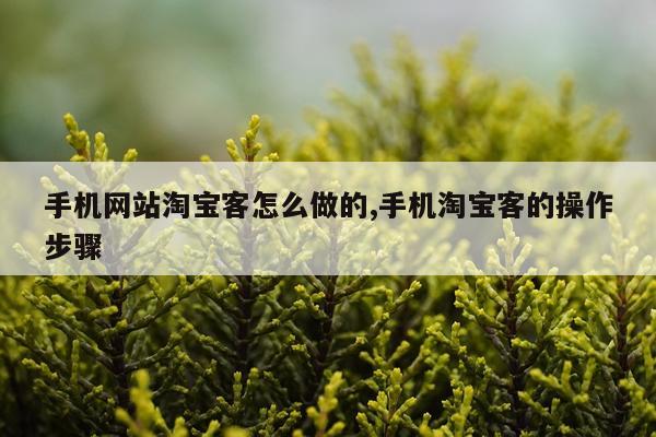 手机网站淘宝客怎么做的,手机淘宝客的操作步骤