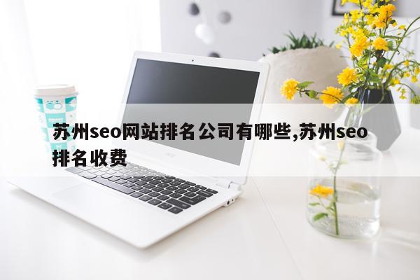苏州seo网站排名公司有哪些,苏州seo排名收费