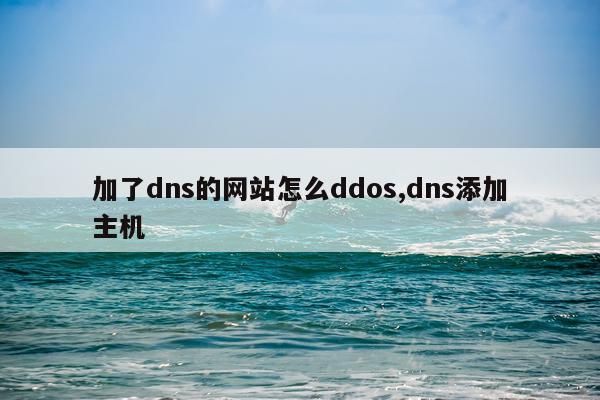 加了dns的网站怎么ddos,dns添加主机