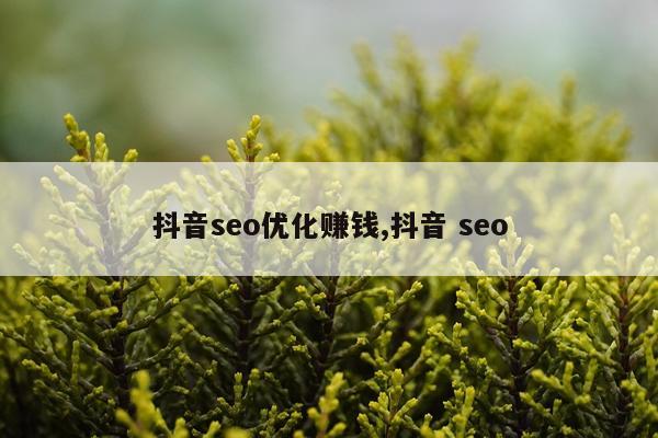 抖音seo优化赚钱,抖音 seo