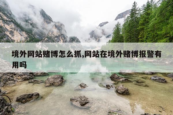 境外网站赌博怎么抓,网站在境外赌博报警有用吗