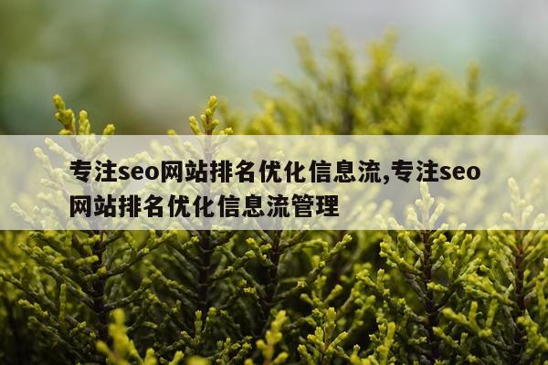 专注seo网站排名优化信息流,专注seo网站排名优化信息流管理