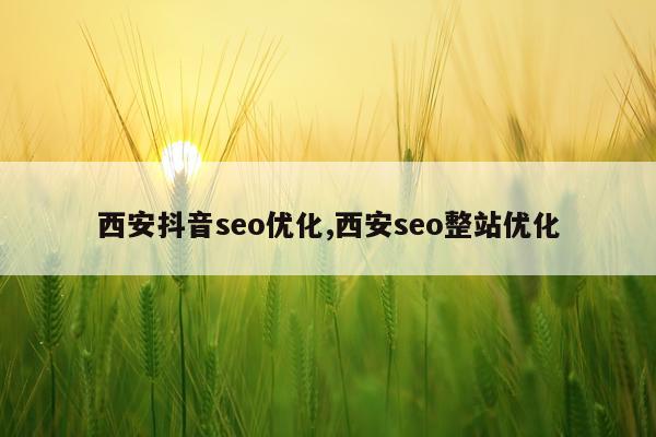 西安抖音seo优化,西安seo整站优化