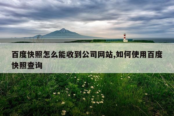 百度快照怎么能收到公司网站,如何使用百度快照查询