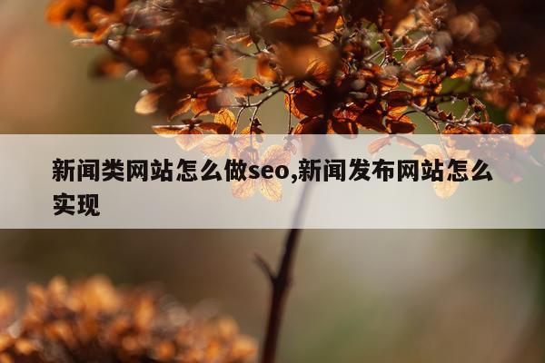 新闻类网站怎么做seo,新闻发布网站怎么实现