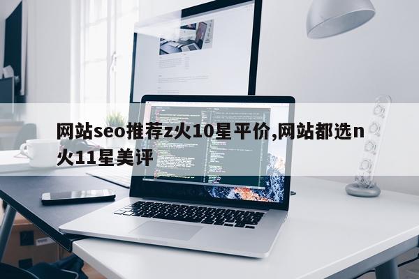 网站seo推荐z火10星平价,网站都选n火11星美评