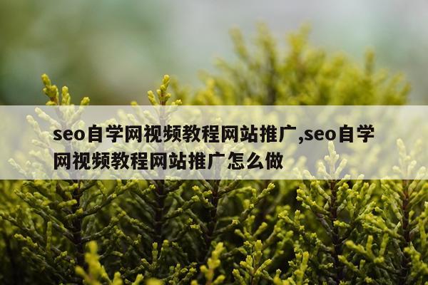 seo自学网视频教程网站推广,seo自学网视频教程网站推广怎么做