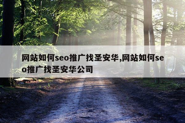 网站如何seo推广找圣安华,网站如何seo推广找圣安华公司