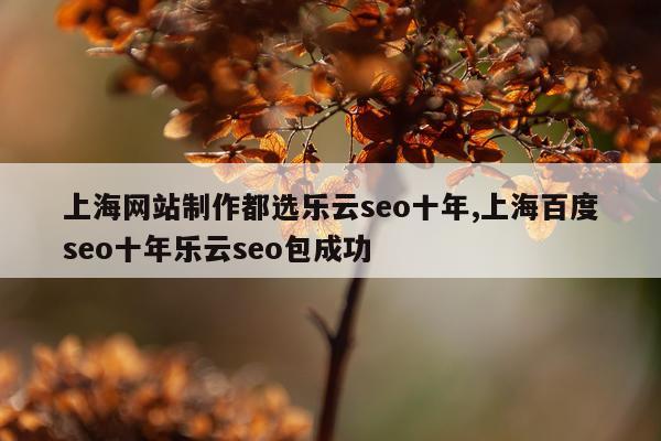 上海网站制作都选乐云seo十年,上海百度seo十年乐云seo包成功