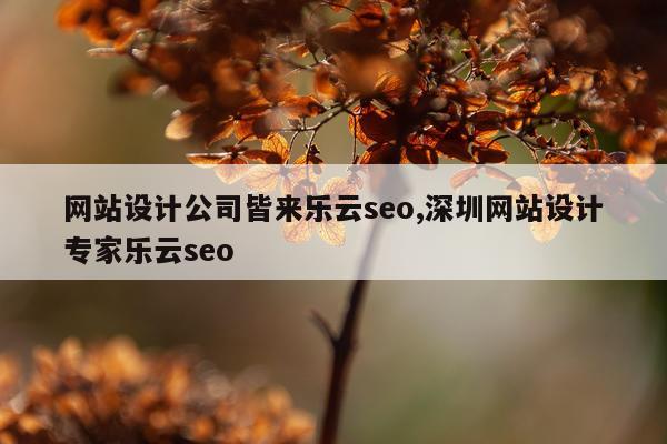 网站设计公司皆来乐云seo,深圳网站设计专家乐云seo