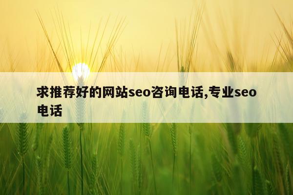 求推荐好的网站seo咨询电话,专业seo电话