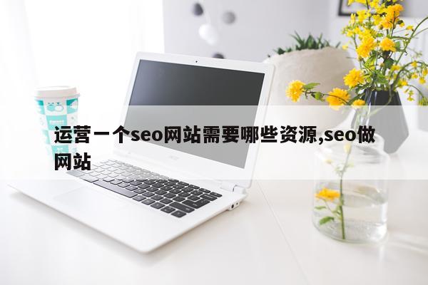 运营一个seo网站需要哪些资源,seo做网站