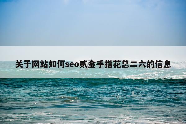 关于网站如何seo贰金手指花总二六的信息