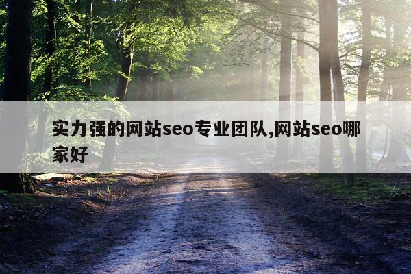 实力强的网站seo专业团队,网站seo哪家好