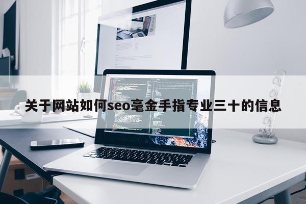 关于网站如何seo毫金手指专业三十的信息