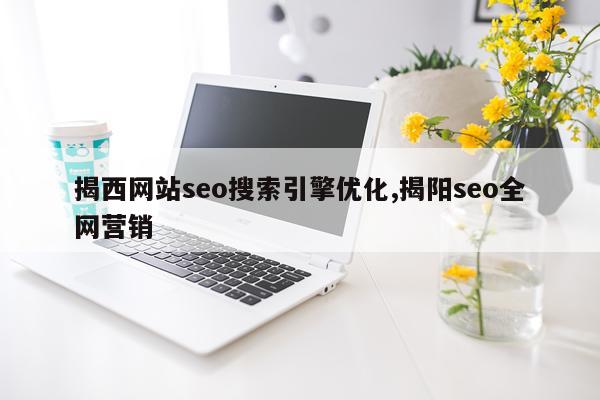 揭西网站seo搜索引擎优化,揭阳seo全网营销