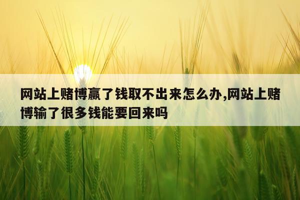 网站上赌博赢了钱取不出来怎么办,网站上赌博输了很多钱能要回来吗