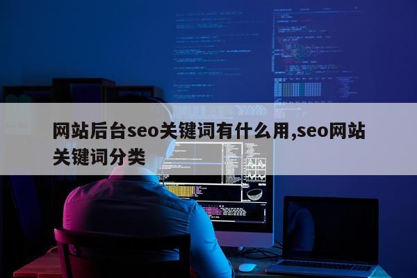 网站后台seo关键词有什么用,seo网站关键词分类