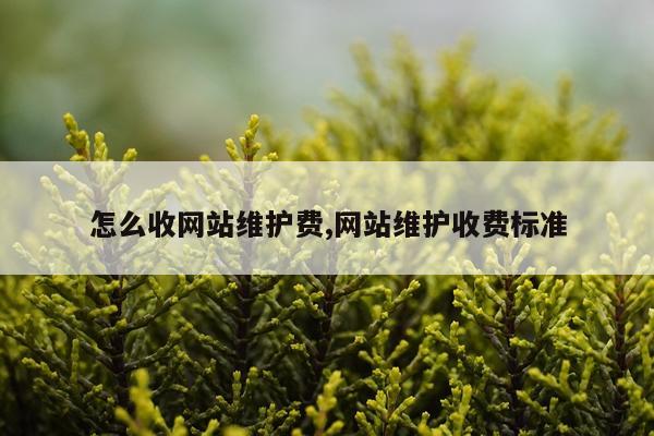 怎么收网站维护费,网站维护收费标准