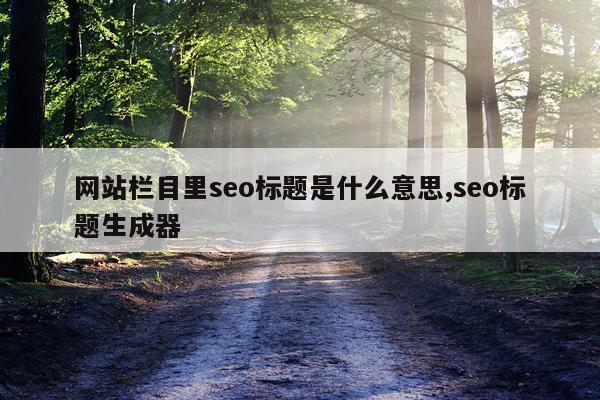 网站栏目里seo标题是什么意思,seo标题生成器