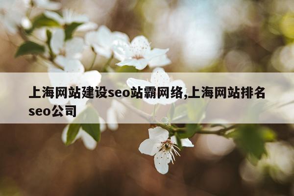 上海网站建设seo站霸网络,上海网站排名seo公司