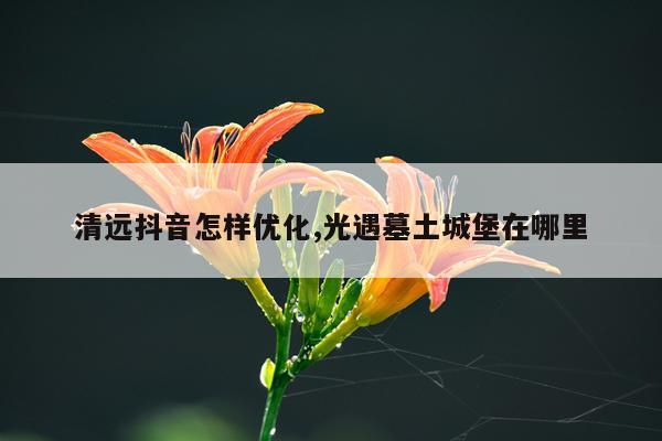 清远抖音怎样优化,光遇墓土城堡在哪里
