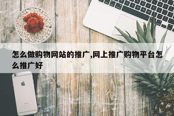 怎么做购物网站的推广,网上推广购物平台怎么推广好