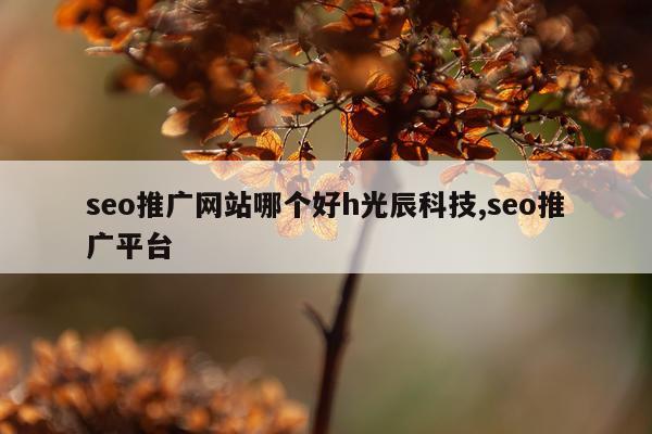 seo推广网站哪个好h光辰科技,seo推广平台