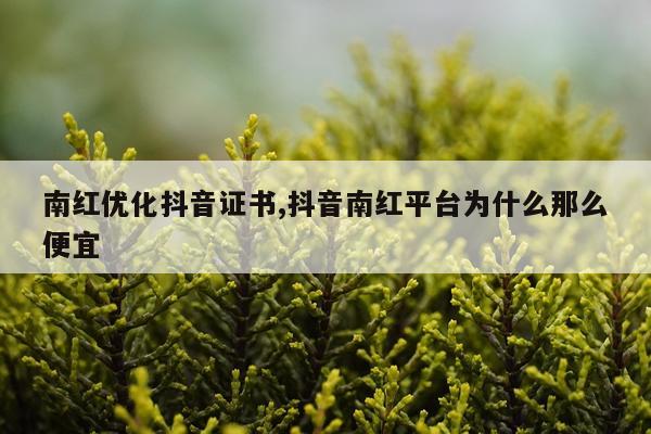 南红优化抖音证书,抖音南红平台为什么那么便宜