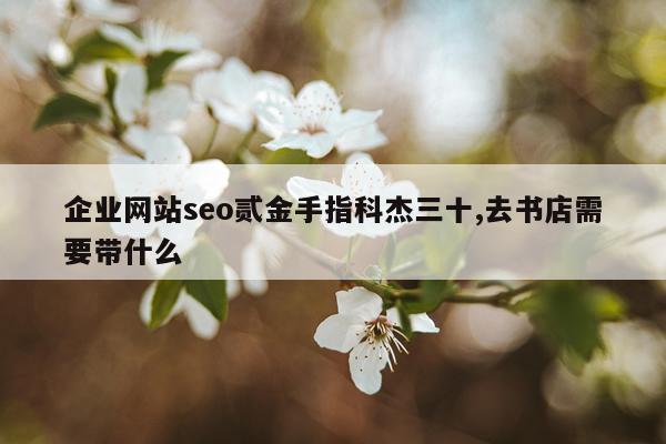 企业网站seo贰金手指科杰三十,去书店需要带什么