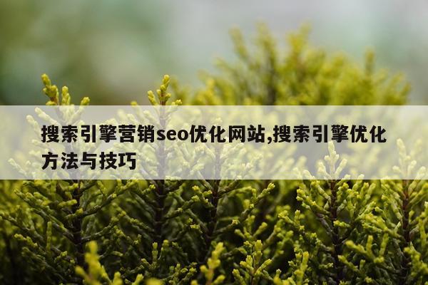 搜索引擎营销seo优化网站,搜索引擎优化方法与技巧